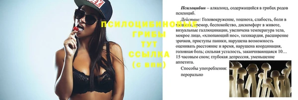 прущие грибы Надым