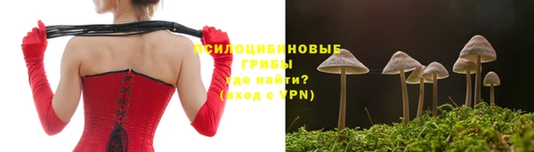 сатива Наволоки