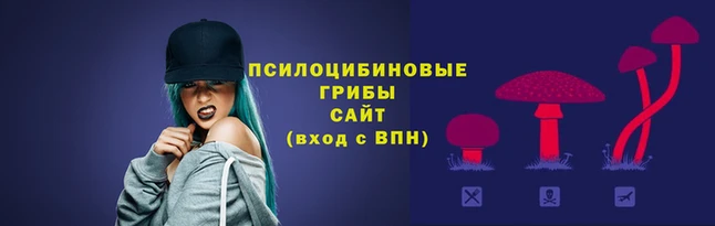прущие грибы Надым
