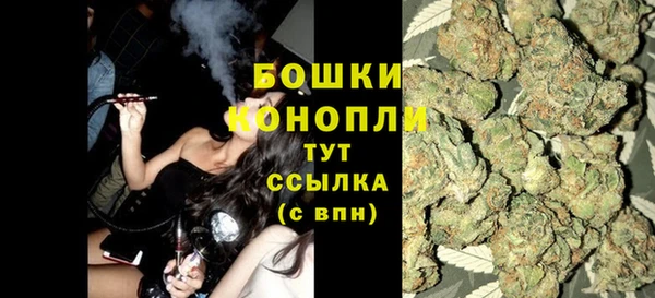 прущие грибы Надым