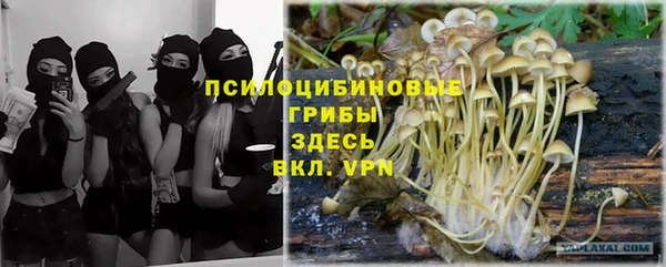 сатива Наволоки