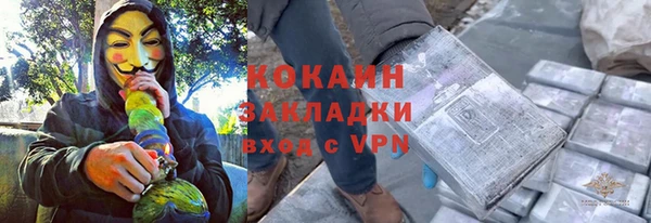прущие грибы Надым