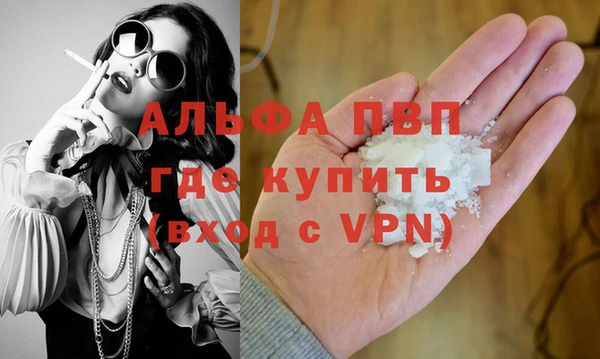 прущие грибы Надым