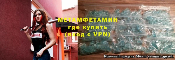прущие грибы Надым