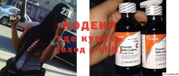 прущие грибы Надым