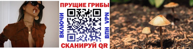 Псилоцибиновые грибы ЛСД  Ивдель 