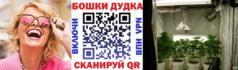 Бошки марихуана ГИДРОПОН  где можно купить наркотик  Ивдель 